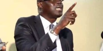 Me Augustin Senghor à Pape Diouf : "C’est quelqu’un que je respecte mais il a tout faux…" - wiwsport