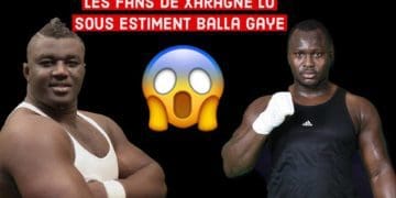 Vidéo- Choc Balla Gaye 2 vs Modou Lo: Les fans de Xaragne Lo sous estiment Balla ! - wiwsport