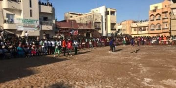 Suivez l'open presse de Modou Lô en direct sur wiwsport - wiwsport