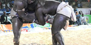 Eumeu Sène-Modou Lô : Le combat sera ficelé le 1er février - wiwsport