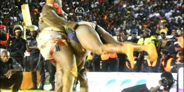Revivez l'intégralité du combat Balla Gaye 2 vs Modou Lo ! - wiwsport