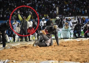 Ce que disait Bassirou Babou, ancien manager de Modou Lô : « Je suis avec le Lion de Guédiawaye, si Modou Lô… »