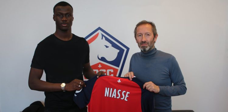 Officiel: Cheikh Niasse prolonge au LOSC - wiwsport