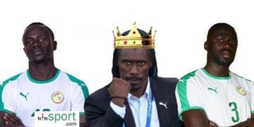 La FIFA pense que les lions sont "ROIS" en Afrique - wiwsport