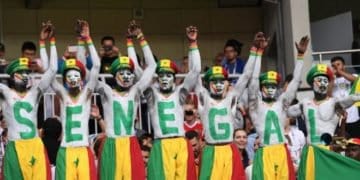 Officiel : Le Sénégal, pays hôte de la dernière étape des éliminatoires Chine 2019 - wiwsport