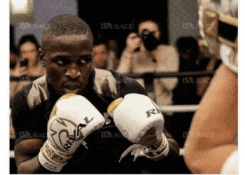 boxe