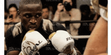 boxe