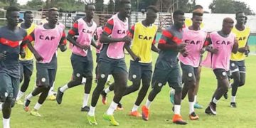 canu20 galop lions