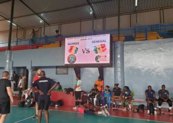 Tournoi Guinée : Les lionnes domptent le pays hôte ! - wiwsport