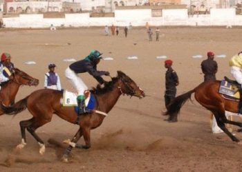 Courses hippiques (1ère journée) : Diofior ravit la vedette à Moubarak et El Capo - wiwsport