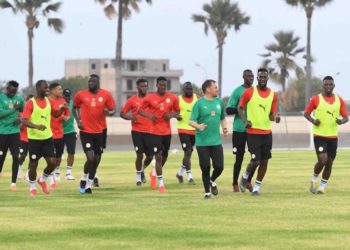 LIVE - Suivez le premier galop d'entraînement des Lions en direct sur wiwsport.com - wiwsport