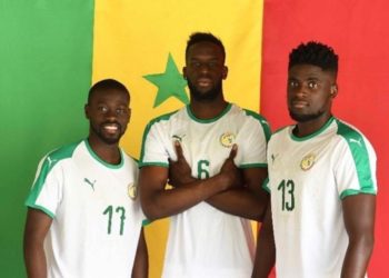 Découvrez la belle séance de shooting des Lions en images - wiwsport
