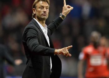 ©PHOTOPQR/OUEST FRANCE ; Rennes Lille
Championnat de France de football, Ligue 1, 6e journée.
Hervé RENARD entraîneur de Lille

Rennes le 18/09/2015 (MaxPPP TagID: maxsportsworldtwo311658.jpg) [Photo via MaxPPP]