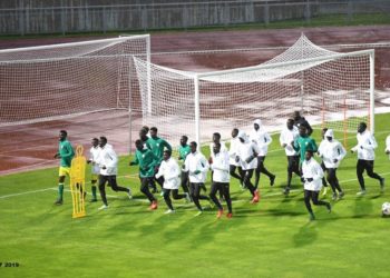 Coupe du monde Pologne: Les lionceaux ont effectué leur première séance d'entrainement à Lublin - wiwsport