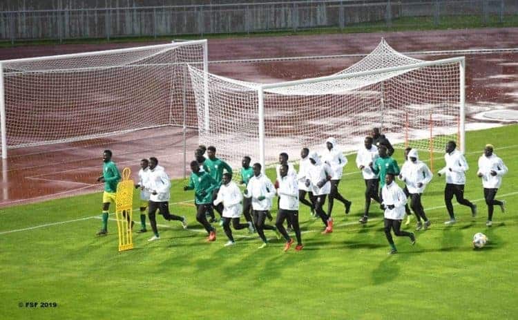 Coupe du monde Pologne: Les lionceaux ont effectué leur première séance d'entrainement à Lublin - wiwsport Coupe du monde Pologne: Les lionceaux ont effectué leur première séance d'entrainement à Lublin - wiwsport