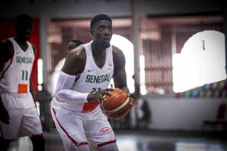 Pologne – Cheikh Mbodj et Polski Cukier en finale des Playoffs ! - wiwsport Pologne – Cheikh Mbodj et Polski Cukier en finale des Playoffs ! - wiwsport