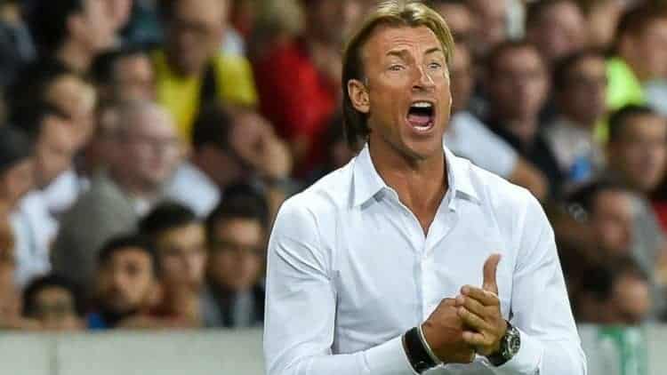 L'actuel sélectionneur des Lions de l'Atlas, Hervé Renard quittera le Maroc après la CAN ! - wiwsport