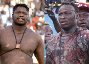 Pape Abdou Fall se retire du combat revanche Tapha Tine / Ama Baldé - wiwsport