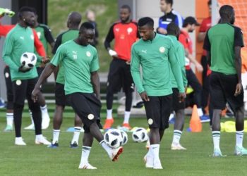 Accueil et hébergement des Lions : Une mission de prospection au Caire ce samedi - wiwsport