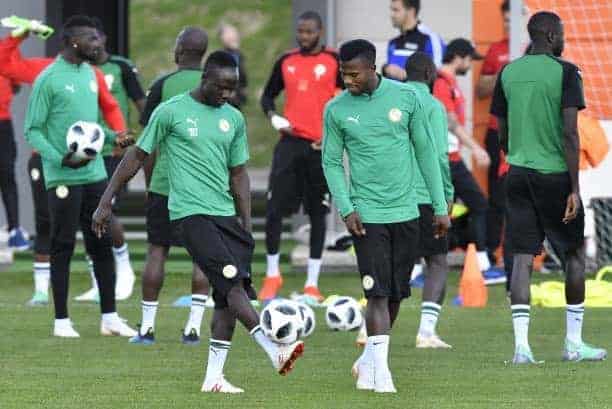 Accueil et hébergement des Lions : Une mission de prospection au Caire ce samedi - wiwsport