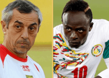 Can 2019 : Alain Giresse sur le Sénégal "Les lions ont bien grandi..." - wiwsport