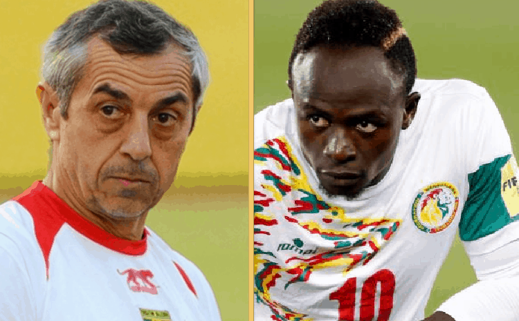 Can 2019 : Alain Giresse sur le Sénégal "Les lions ont bien grandi..." - wiwsport