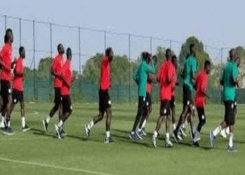 Deux galops d’entraînement intenses pour les Lions ce dimanche, en Espagne - wiwsport