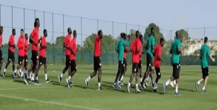 Deux galops d’entraînement intenses pour les Lions ce dimanche, en Espagne - wiwsport