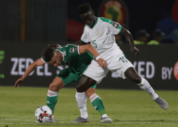 Can 2019 -Poule C (J2) : C'est la mi-temps au Stade 30 juin de Caire, 0-0 entre Lions et Fennecs - wiwsport