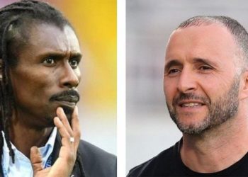CAN 2019 : Les entraîneurs locaux sur le toit de l'Afrique - wiwsport