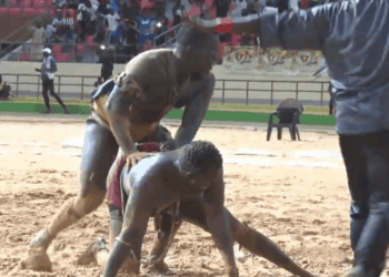 Vidéo : Victoire de Double Moteur sur Feugueuleu ! - wiwsport