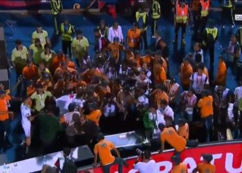 CAN 2019 : Accrochages entre les joueurs algériens et la sécurité égyptienne à l'issue de la finale - wiwsport