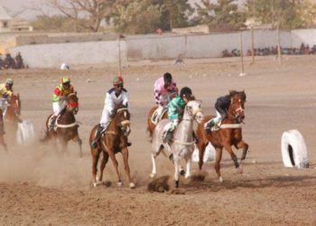 Courses Hippiques : GP première Dame, ce samedi - wiwsport