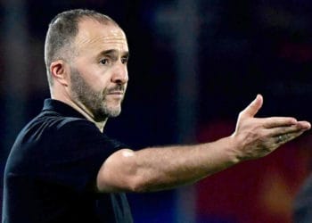 CAN 2019 : L'Algérien, Djamel Belmadi élu meilleur sélectionneur de la phase de poules ! - wiwsport