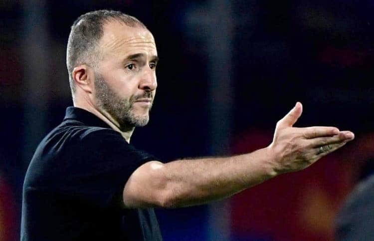 CAN 2019 : L'Algérien, Djamel Belmadi élu meilleur sélectionneur de la phase de poules ! - wiwsport CAN 2019 : L'Algérien, Djamel Belmadi élu meilleur sélectionneur de la phase de poules ! - wiwsport
