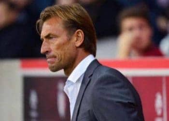 Officiel - Hervé Renard démissionne de son poste de sélectionneur du Maroc - wiwsport