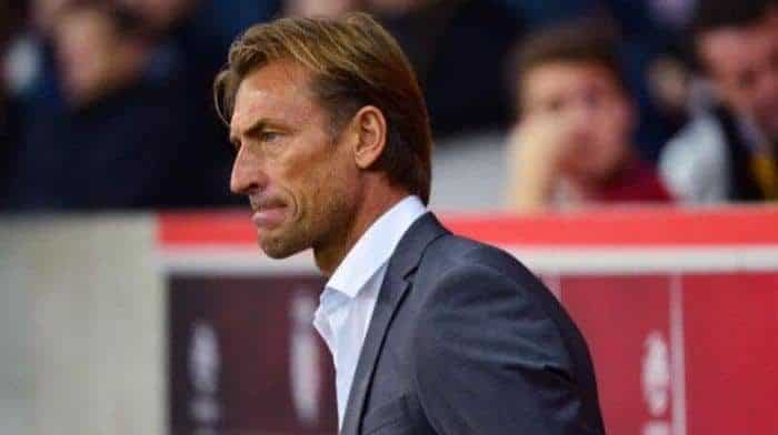 Officiel - Hervé Renard démissionne de son poste de sélectionneur du Maroc - wiwsport Officiel - Hervé Renard démissionne de son poste de sélectionneur du Maroc - wiwsport