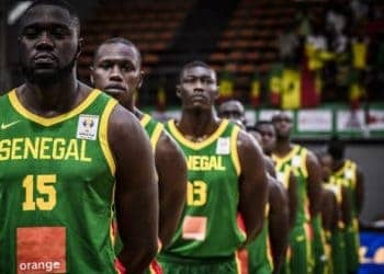 Préparation Coupe du monde 2019 : Les lions démarrent début août - wiwsport