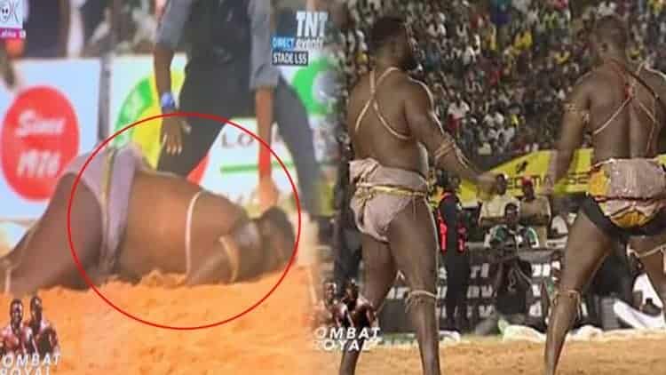 Lamb : Battu par Modou Lo, Eumeu Séne pourrait introduire un recours ! - wiwsport