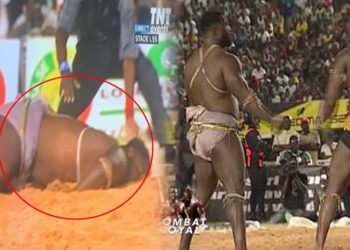 Lamb - Vidéo : La réaction d'Eumeu Séne après sa chute "Dama danou..." - wiwsport