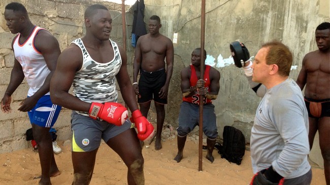 Après recours : Tyson 2 et Thiatou Yoff déclarés vainqueurs - wiwsport Après recours : Tyson 2 et Thiatou Yoff déclarés vainqueurs - wiwsport