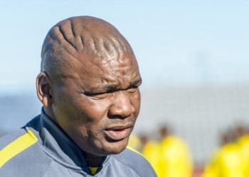 Officiel - L’Afrique du Sud tient son nouveau sélectionneur - wiwsport