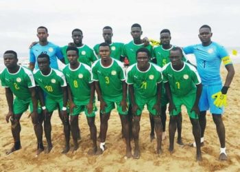 Matchs amicaux : Les Lions joueront contre la Marseille Beach Team les 30 et 02 octobre - wiwsport