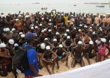 Point de presse de la Fédération de natation, ce mercredi - wiwsport