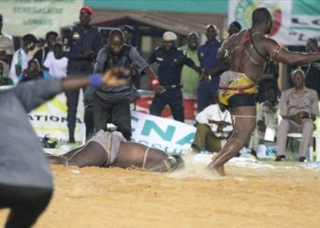 Lutte avec frappe : 49 galas, 493 combats, 231.800.000 FCFA déclarés - wiwsport