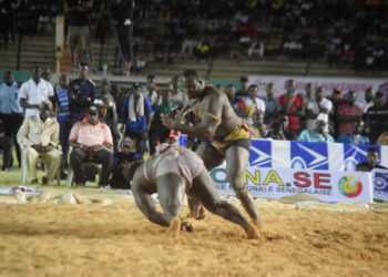 Bilan saison 2018-2019 : 17 KO enregistrés, 6 combats nuls... - wiwsport