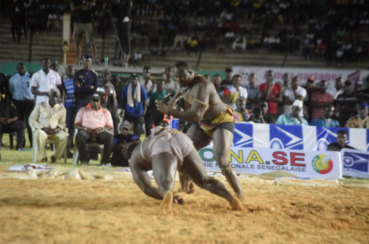 Bilan saison 2018-2019 : 17 KO enregistrés, 6 combats nuls... - wiwsport Bilan saison 2018-2019 : 17 KO enregistrés, 6 combats nuls... - wiwsport