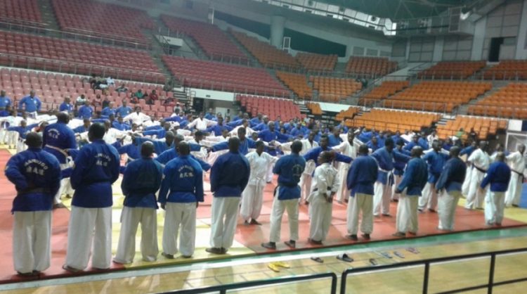 Nanbudo - Championnat d'Afrique 2019 : Les Lions "prêts à tout rafler" à Thiès - wiwsport
