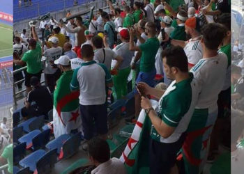 Algérie-Colombie : Belmadi appelle les supporters à un comportement festif et raisonnable - wiwsport