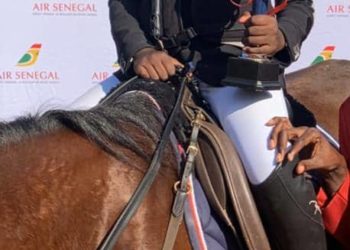 Equitation : 1er concours de saut d’obstacles (CSO) : Babacar Ngom et Babacar Dieng vainqueurs de ce dimanche - wiwsport